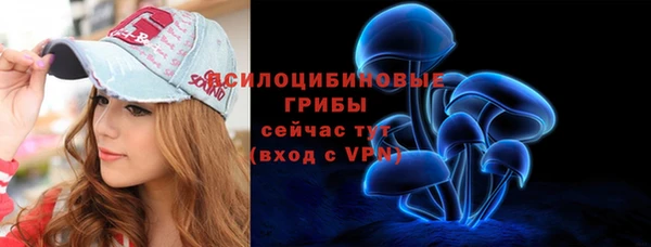 а пвп мука Алзамай