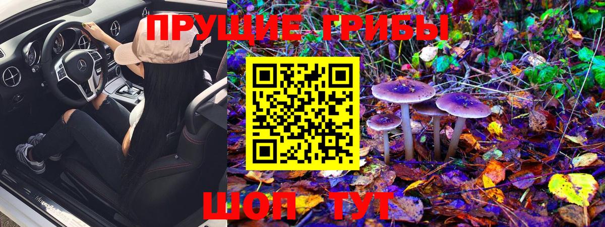 Санкт-Петербург  Псилоцибиновые грибы мухоморы  Вход с VPN 