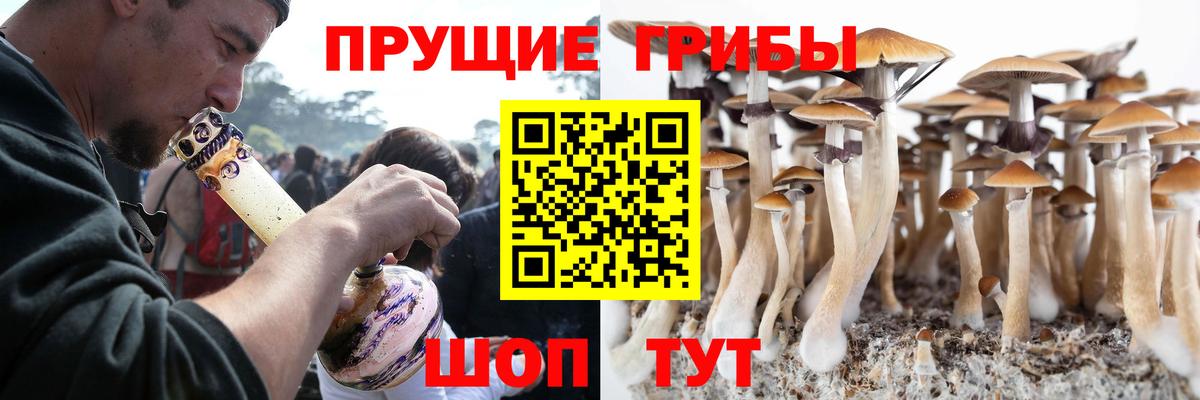 Галлюциногенные грибы GOLDEN TEACHER Санкт-Петербург